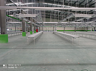 thumbnail project designed by Wahana Cipta Bangunwisma